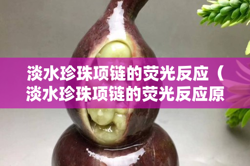 淡水珍珠项链的荧光反应（淡水珍珠项链的荧光反应原理）