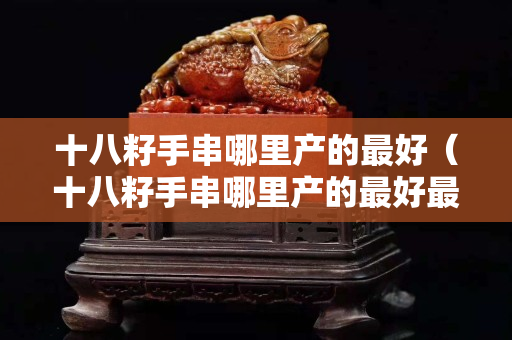十八籽手串哪里产的最好（十八籽手串哪里产的最好最正宗）