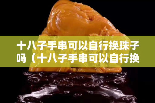 十八子手串可以自行换珠子吗（十八子手串可以自行换珠子吗）
