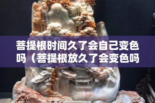 菩提根时间久了会自己变色吗（菩提根放久了会变色吗）