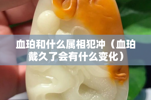 血珀和什么属相犯冲（血珀戴久了会有什么变化）