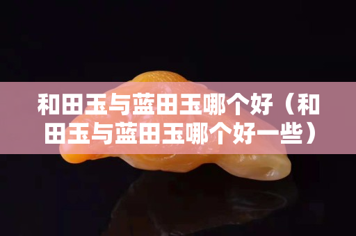 和田玉与蓝田玉哪个好（和田玉与蓝田玉哪个好一些）