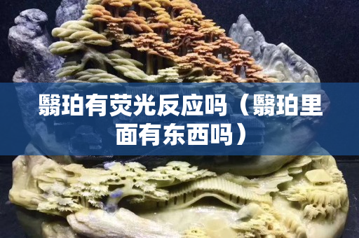 翳珀有荧光反应吗（翳珀里面有东西吗）