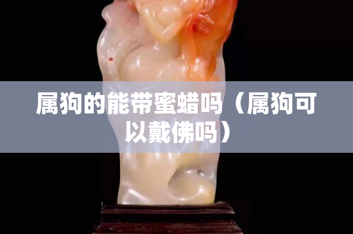 属狗的能带蜜蜡吗（属狗可以戴佛吗）
