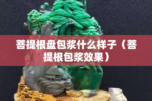 菩提根盘包浆什么样子（菩提根包浆效果）