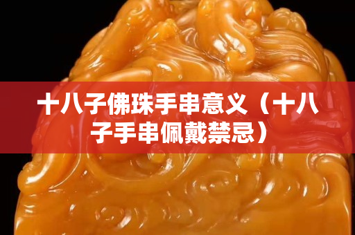 十八子佛珠手串意义（十八子手串佩戴禁忌）