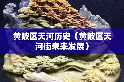 黄陂区天河历史（黄陂区天河街未来发展）