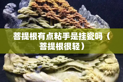 菩提根有点粘手是挂瓷吗（菩提根很轻）