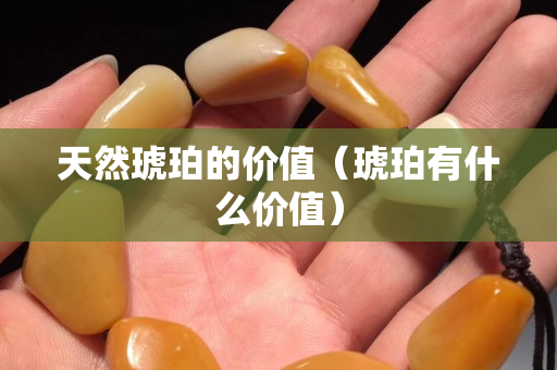 天然琥珀的价值（琥珀有什么价值）