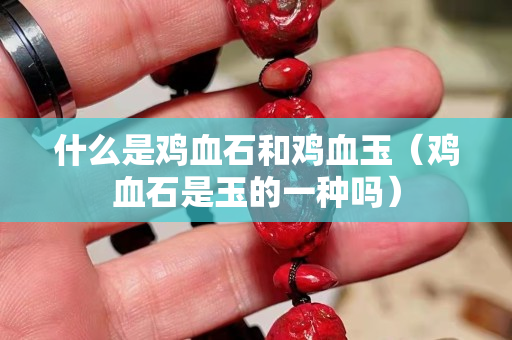 什么是鸡血石和鸡血玉（鸡血石是玉的一种吗）