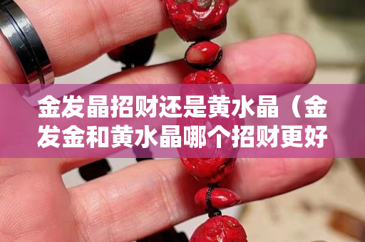 金发晶招财还是黄水晶（金发金和黄水晶哪个招财更好）
