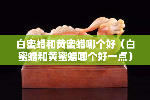 白蜜蜡和黄蜜蜡哪个好（白蜜蜡和黄蜜蜡哪个好一点）