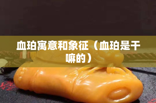 血珀寓意和象征（血珀是干嘛的）