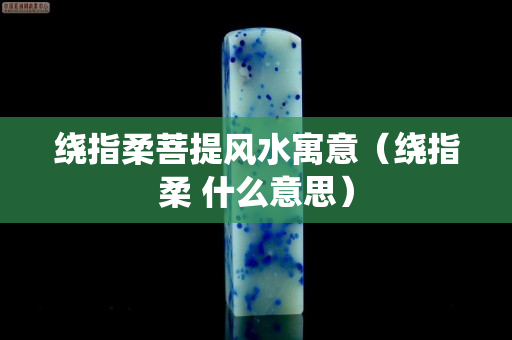 绕指柔菩提风水寓意（绕指柔 什么意思）