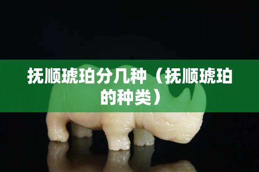 抚顺琥珀分几种（抚顺琥珀的种类）
