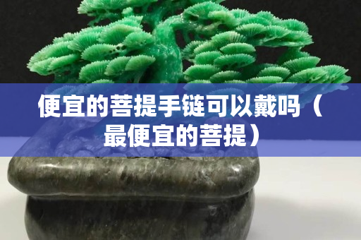 便宜的菩提手链可以戴吗（最便宜的菩提）