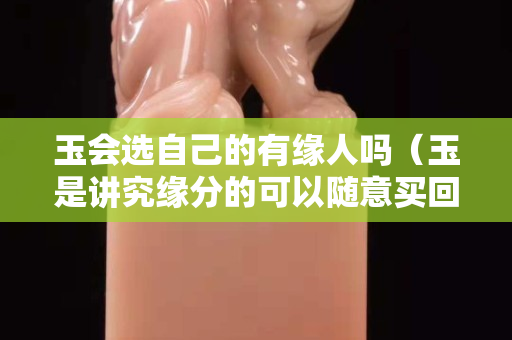 玉会选自己的有缘人吗（玉是讲究缘分的可以随意买回来带吗）