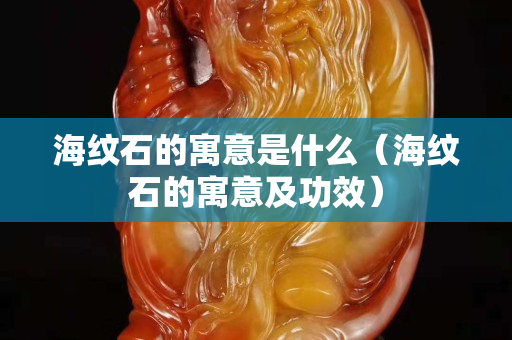 海纹石的寓意是什么（海纹石的寓意及功效）