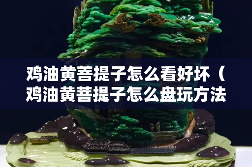 鸡油黄菩提子怎么看好坏（鸡油黄菩提子怎么盘玩方法）