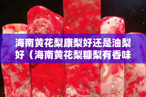 海南黄花梨康梨好还是油梨好（海南黄花梨糠梨有香味吗）