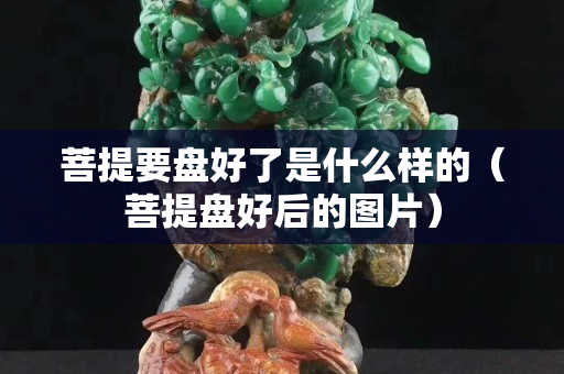 菩提要盘好了是什么样的（菩提盘好后的图片）
