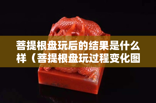 菩提根盘玩后的结果是什么样（菩提根盘玩过程变化图）