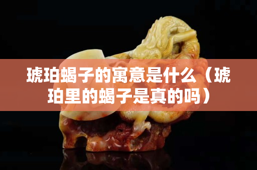 琥珀蝎子的寓意是什么（琥珀里的蝎子是真的吗）