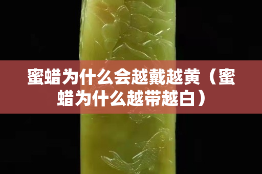 蜜蜡为什么会越戴越黄（蜜蜡为什么越带越白）