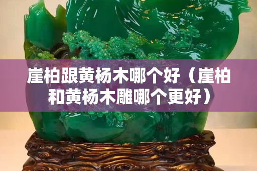 崖柏跟黄杨木哪个好（崖柏和黄杨木雕哪个更好）