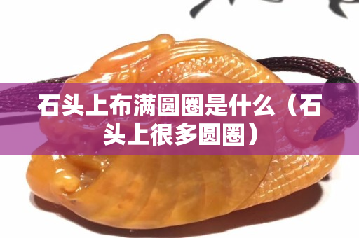 石头上布满圆圈是什么（石头上很多圆圈）