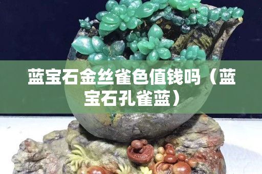 蓝宝石金丝雀色值钱吗（蓝宝石孔雀蓝）