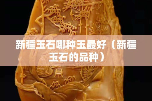新疆玉石哪种玉最好（新疆玉石的品种）