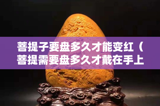 菩提子要盘多久才能变红（菩提需要盘多久才戴在手上）
