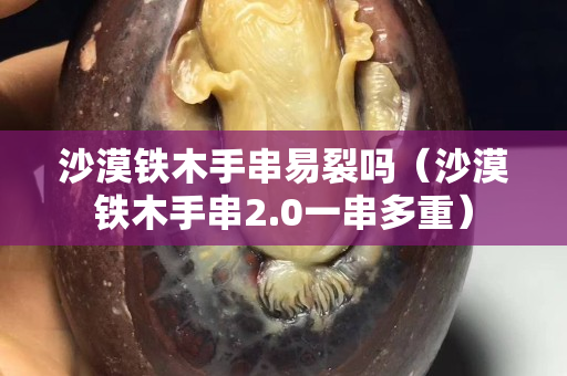 沙漠铁木手串易裂吗（沙漠铁木手串2.0一串多重）