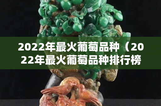2022年最火葡萄品种（2022年最火葡萄品种排行榜）