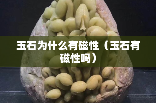 玉石为什么有磁性（玉石有磁性吗）