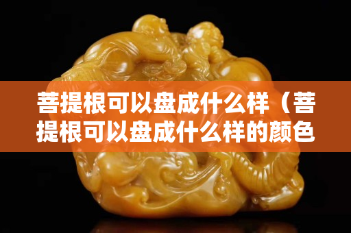 菩提根可以盘成什么样（菩提根可以盘成什么样的颜色）