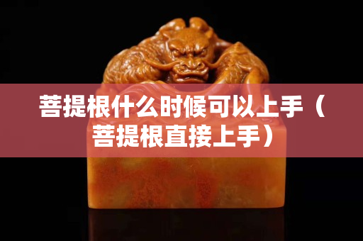 菩提根什么时候可以上手（菩提根直接上手）