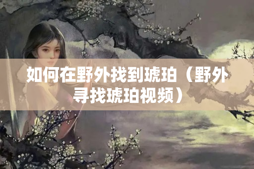 如何在野外找到琥珀（野外寻找琥珀视频）