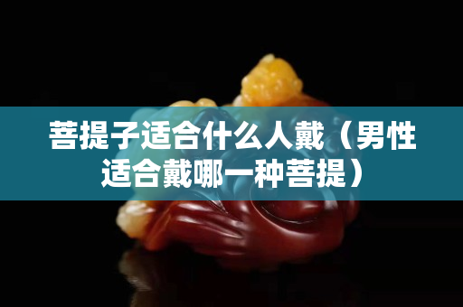 菩提子适合什么人戴（男性适合戴哪一种菩提）