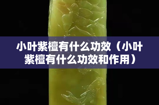 小叶紫檀有什么功效（小叶紫檀有什么功效和作用）