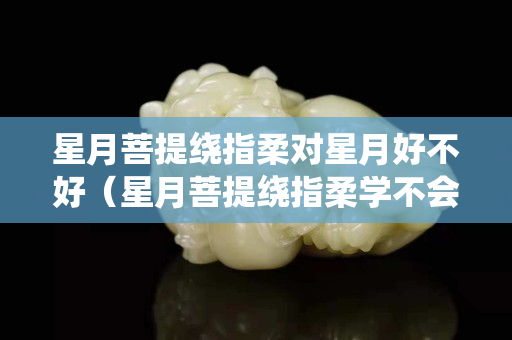 星月菩提绕指柔对星月好不好（星月菩提绕指柔学不会）
