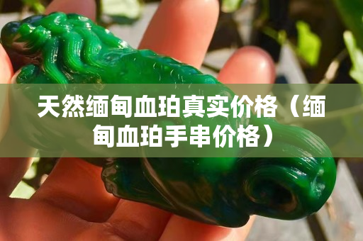 天然缅甸血珀真实价格（缅甸血珀手串价格）