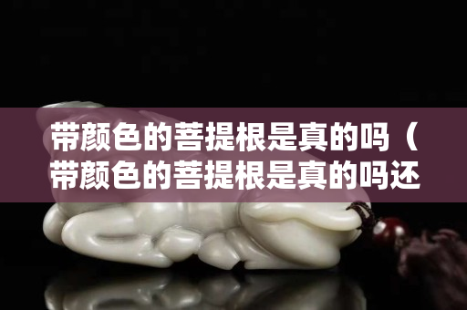 带颜色的菩提根是真的吗（带颜色的菩提根是真的吗还是假的）