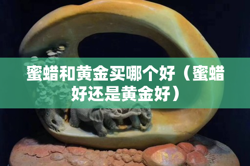 蜜蜡和黄金买哪个好（蜜蜡好还是黄金好）