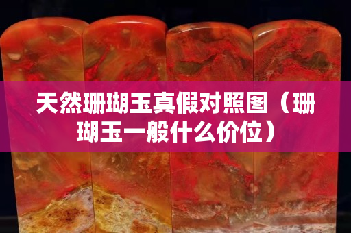 天然珊瑚玉真假对照图（珊瑚玉一般什么价位）