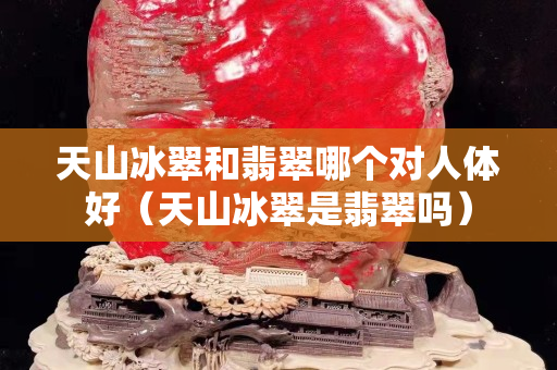 天山冰翠和翡翠哪个对人体好（天山冰翠是翡翠吗）