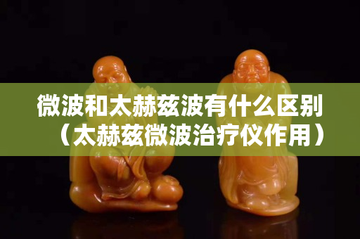 微波和太赫兹波有什么区别（太赫兹微波治疗仪作用）