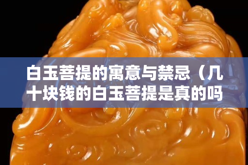白玉菩提的寓意与禁忌（几十块钱的白玉菩提是真的吗）