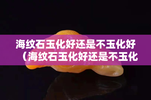 海纹石玉化好还是不玉化好（海纹石玉化好还是不玉化好呢）
